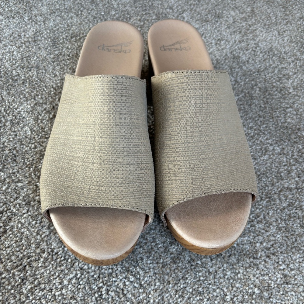 Dansko Clogs